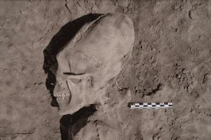 No One Is Shocked 3 Skulls Were Found in This 